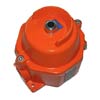 Robertshaw Model Euro 366G Vibration switch for hazardous areas with ATEX approval and cast iron enclosure